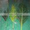 hot sale 2.8 meter coconut trees leaves, artificial coconut trees leaves