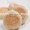 jiangsu automatic burger patty forming machine
