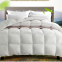 Down Duvet