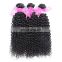 qingdao hair factory hot sale top quality afro curly brazilian hair styles