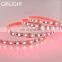 Epistar led source 5050 60led per meter4 in 1 four in one RGBW led strip