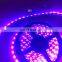 Full Spectrum UV Led Strip Grow Lights for Plants Growing Aquarium Greenhouse