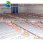 Cow Farm Building Steel Chicken House Steel Structure Poultry Shed for Farm