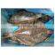 Good price IQF frozen whole round pointhead flounder fish
