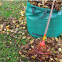 Garden Waste Bag Holder Garden Waste Bags Reusable Collapsible Garden Waste Bag