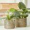 Hot Selling 2 Piece Natural Seagrass Planter Set Storage Basket Plant Holder Wholesale