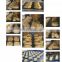 Automatic wired cut biscuits  making machine  cookie  forming machine maker