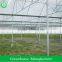 200 Micro UV Film Greenhouse With Cooling Pad And Fan