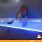 RGB acrylic LED shelf display