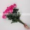 high quality selling China natural cut pink color calla lilies from kunming yunnan ERKA TRADE COMPANY