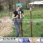 8 ft. 1.25 lb. per foot studded t post (customized)