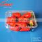 Transparent Eco-friendly Plastic Blister fruit Packing box Fruit with Hole                        
                                                Quality Choice