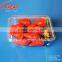 Plastic Fruit Container Clamshell Packaging Blister Packaging for Blueberry Tomatoes 500 Gram