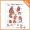 00-0020 Pharma gift 3d medical chart, anatomy emboossed medical wall chart