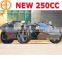 NEW chinese three wheel motorcycle 4 gears 3 wheel motorcycle with one reverse gear,manual cluth 250cc (MC-369)