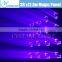 36x15w Osram Magic Panel Beam Light RGBW Led Matrix Wash Moving Head
