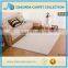 White Plain Coral Velvet Microfiber High Quality Modern Thick Shaggy Rug