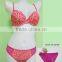 Lovely Orange Animal Print Underwear Set, Bra and High Quality Mesh Brief (EPB125)