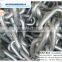 High quality U3 hot dip galvanized open link anchor chain for marine