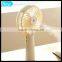 Eco-Friendly Battery Power Fan With Usb Water Spray