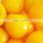 Peaches Halves In Syrup
