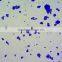 microscopes using microscope prepared slides
