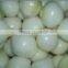 Fresh peeled onions with cheap price