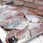FGB-400 Industrial Large Capacity Fish Squid Skin Remover Machine