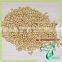Organic Soybeans