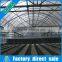 High-producing Mushroom Greenhouse