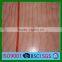 New PE with UV building site for safety use debris net