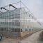 Economical Multi-span Greenhouse For Agriculture Polycarbonate sheet