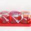 glass handle seasoning box with tray and spoon
