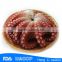 Iqf cooked octopus on sale