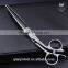 Bridle Straight Multi Color Coated Hair Dressing Scissor