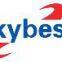 Shenzhen SKYBEST Electronics Sales Department