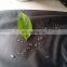 outdoor faric breathable waterproof windproof fabric for sportswear/ jacket