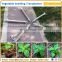 Factory Supply Hand Held Seedling Planting Machine for Vegetable Seedling Transplnater