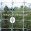 low cost and high quality farm&field fixed knot fence