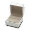 Plastic jewelry box for fashion brand jewelry, plastic box  covered with white PU  outside ?and velvet paper inside.
