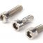 Titanium alloy Hex Socket Bolts used for cars and motorcycles