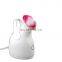 Unique Design OEM 65ML Portable Ozone Face Steamer 280W Vaporizer Facial Steamer