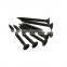 Assorted Steel Nail 17X27 Nails Drywall Screws 25mm Black Head Thread for Wood Furniture Cabinet