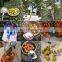 Factory Supply Engraved Tool Pruning Garden Basket Coconut Metal Pole Fruit Picker