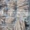 Cheap IQF frozen baby squid good quality for export