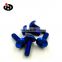 Can be customized in a variety of colors of high quality mirror bolt hexagon head screws
