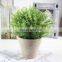 Factory Direct Sale Plastic Plants Potted Plant Mini Home Office Decorating Artificial Bonsai
