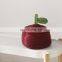 Hand-woven Apple Storage Baskets Quality Cotton Rope Practical Sundries Cosmetic Organizer