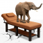 Physical therapy bed