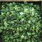 freeze dried spinach cut